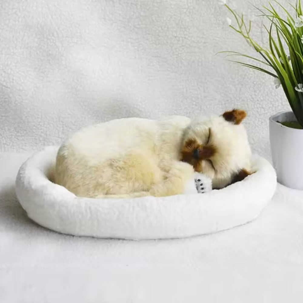 Peluche Chat Réaliste Chat'Zen™