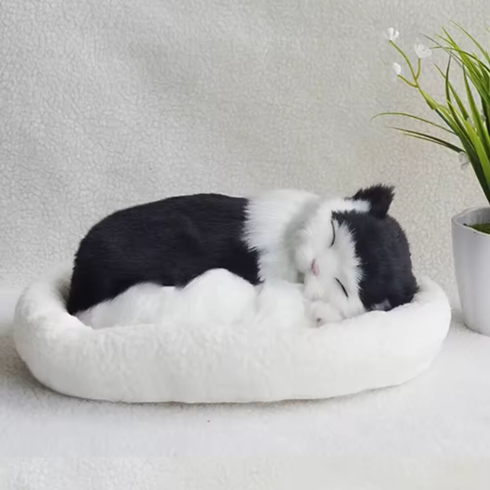 Peluche Chat Réaliste Chat'Zen™