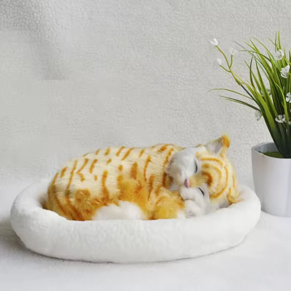 Peluche Chat Réaliste Chat'Zen™