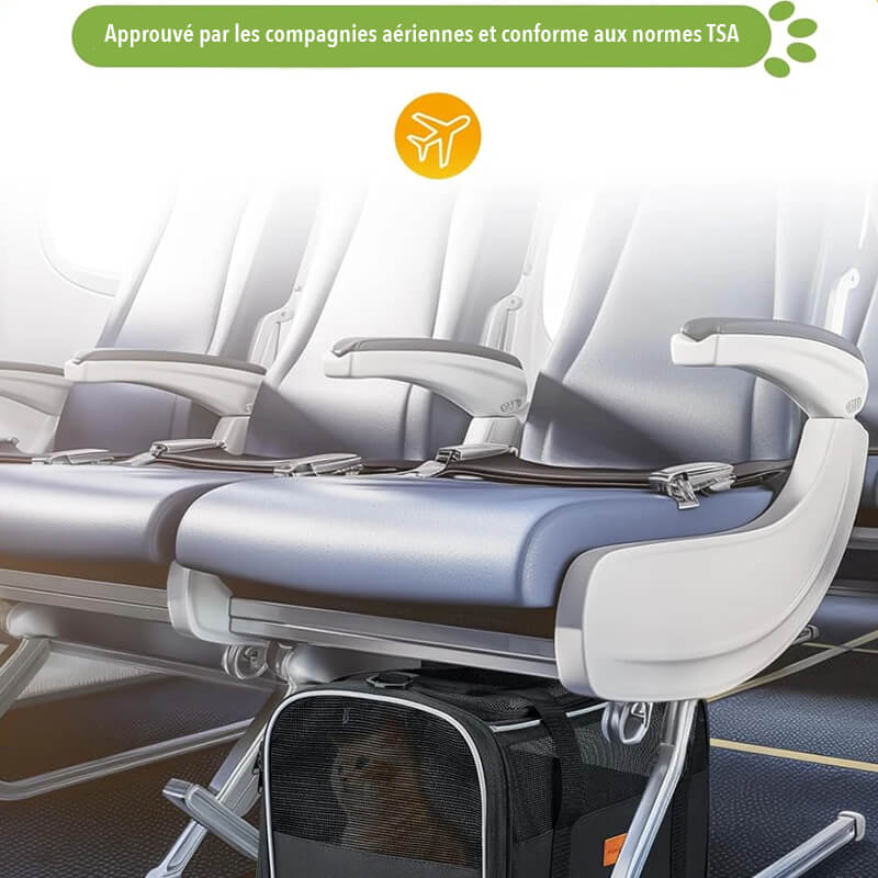 Sac de Transport Chat NomadCat™